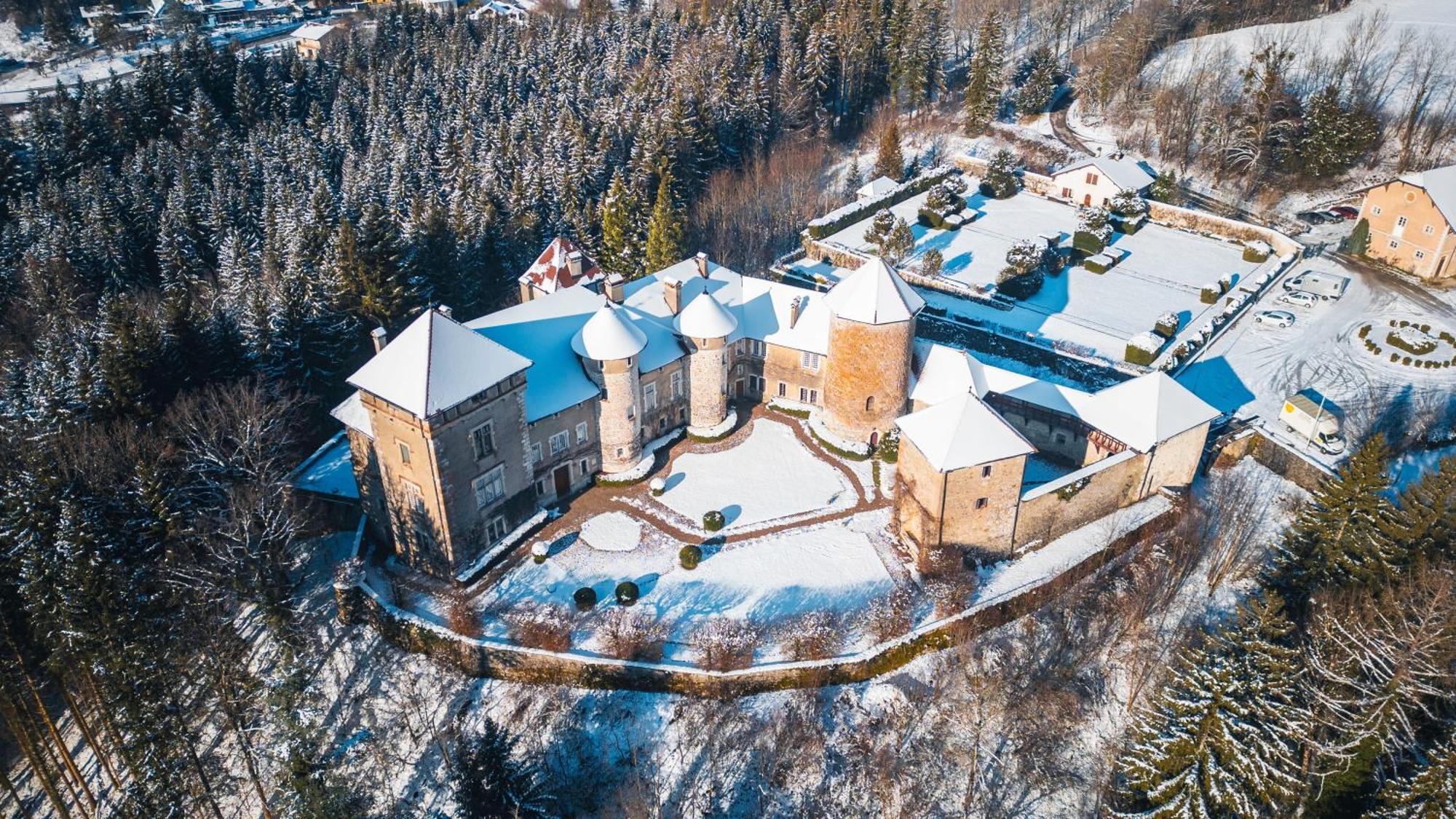 Chateau De Thorens Dış mekan fotoğraf