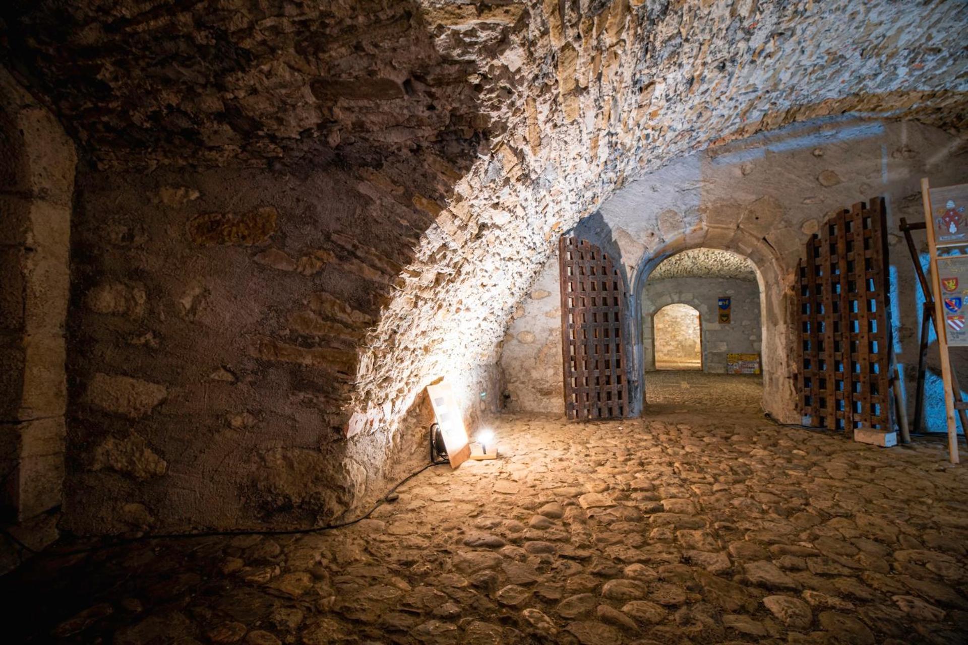 Chateau De Thorens Dış mekan fotoğraf