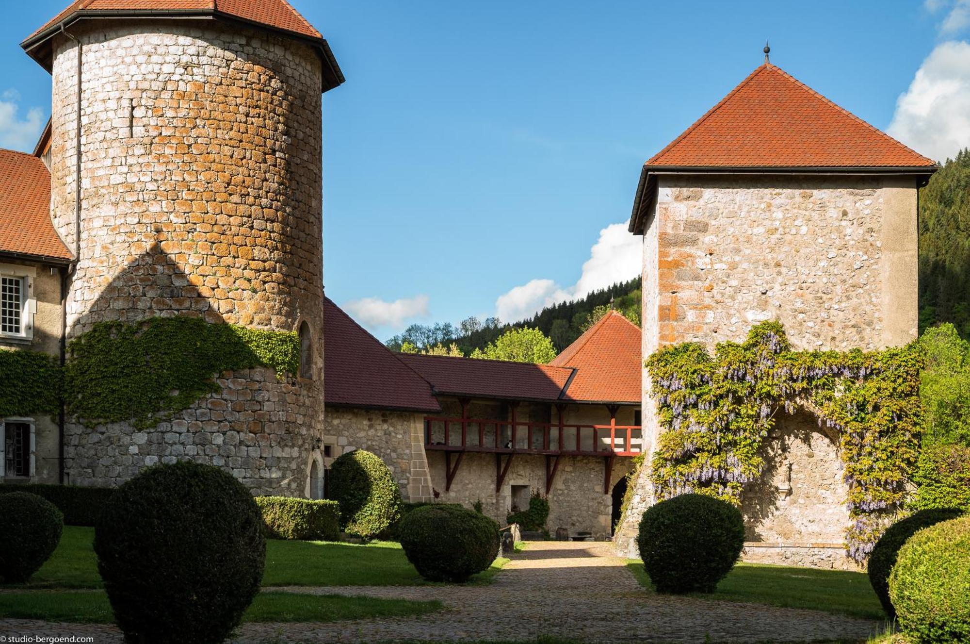 Chateau De Thorens Dış mekan fotoğraf